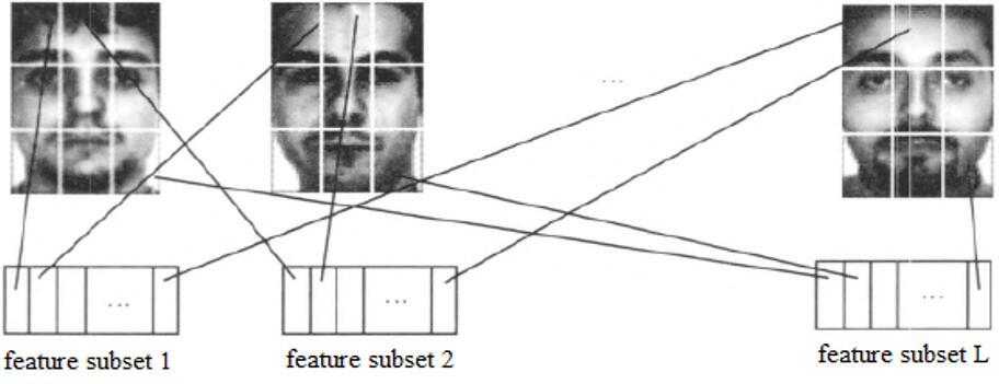 A Face Recognition Algorithm Based on Optimal Feature Selection | IIETA