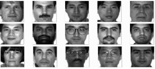 A Face Recognition Algorithm Based on Optimal Feature Selection | IIETA