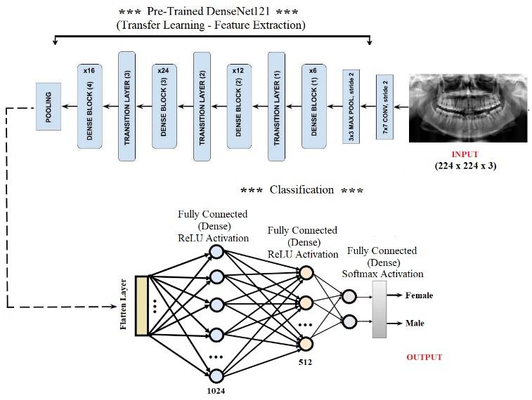 Human Gender Prediction Based on Deep Transfer Learning from Panoramic ...