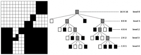 Storage Space Reduction of Biometric Iris Databases by Successive ...