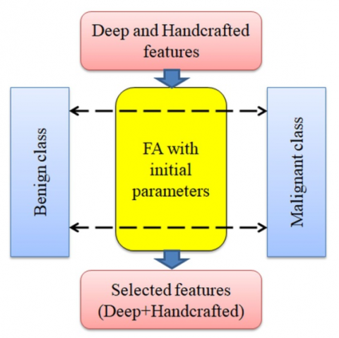 Hybrid Feature Selection Using the Firefly Algorithm for Automatic ...