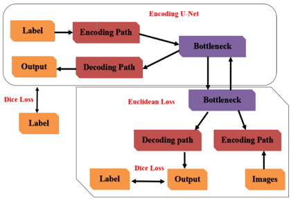 Bottleneck Feature-Based U-Net for Automated Detection and Segmentation ...
