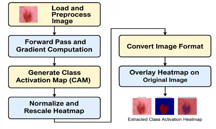 Activation Heatmap-Guided FT-MultiCNN: Advancing Skin Cancer ...